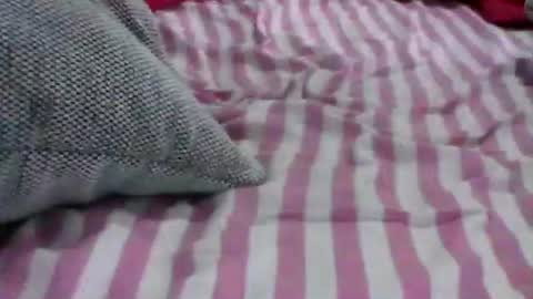 babydollxoxoxo123 online show from 19, 4, 2026