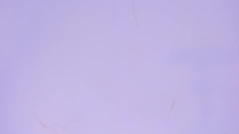 Snapshot of babyvale_ chatting on 10, 5, 2026 Valentina online show from 10, 5, 2026