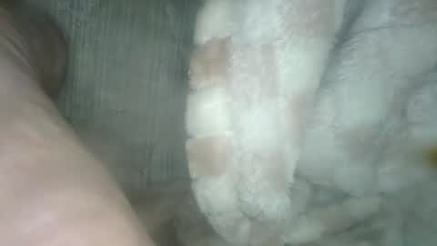 babyxxxangel online show from 19, 12, 2024