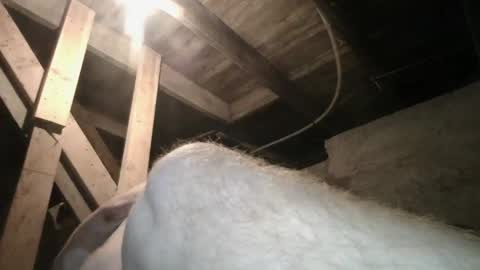 babyxxxangel online show from 20, 9, 2025