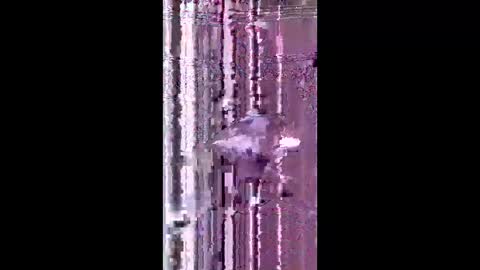 bad_boy2299 online show from 2, 6, 2026