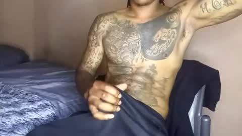 Snapshot of bad_dawgg chatting on 2, 8, 2026 rastafaria online show from 2, 8, 2026