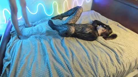 Snapshot of bada_b1ng chatting on 7, 12, 2024 bada_b1ng online show from 7, 12, 2024