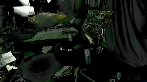 baddaddy215 online show from 9, 12, 2024