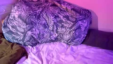 Snapshot of bags24 chatting on 3, 2, 2026 Bags24 online show from 3, 2, 2026