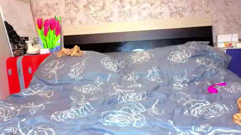 holly online show from 31, 3, 2026