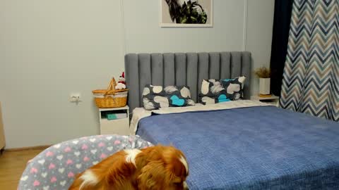 Kira online show from 10, 1, 2025