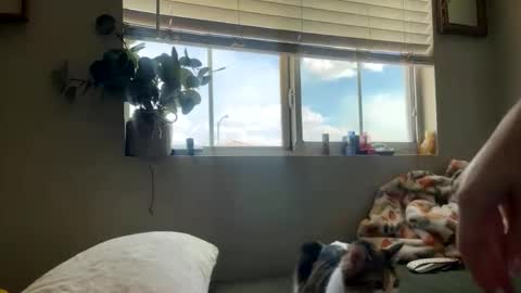 Snapshot of bambi_rae02 chatting on 5, 5, 2026 Bambi online show from 5, 5, 2026