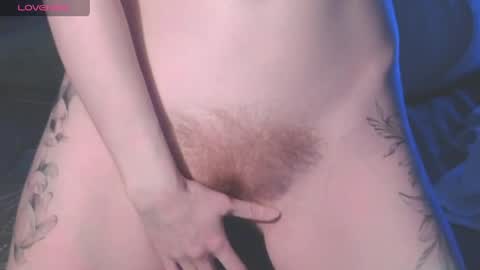 . online show from 10, 4, 2026