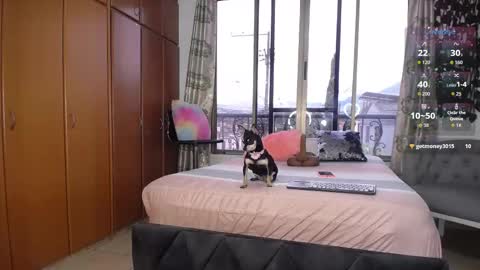 Barbiefoxx online show from 10, 1, 2026