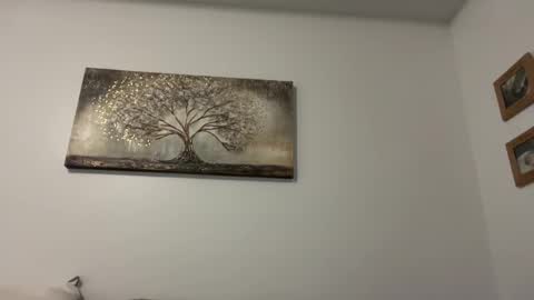 chicka online show from 28, 12, 2024