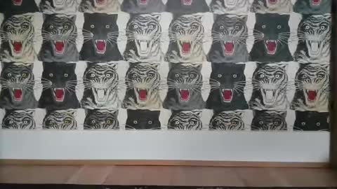 Bas online show from 6, 3, 2025