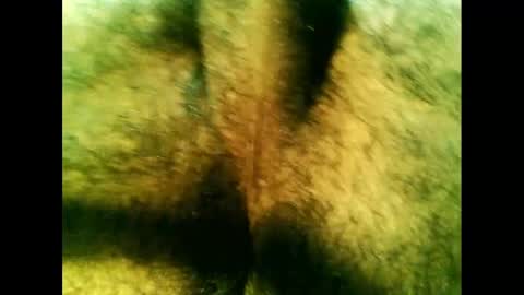 bayfall online show from 14, 12, 2024