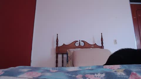 bayonette_black online show from 27, 9, 2025