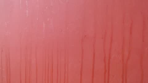 bayonette_black online show from 3, 12, 2025