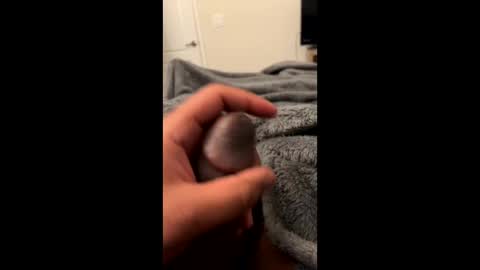 Snapshot of bbc4_fun chatting on 23, 2, 2025 bbc4_fun online show from 23, 2, 2025