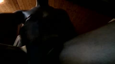 Ferdinandooo online show from 2, 6, 2026