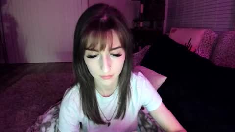 Shasta online show from 6, 3, 2026