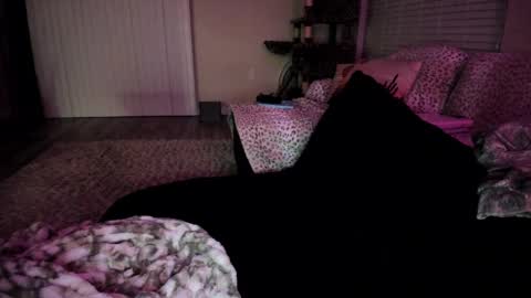 Shasta online show from 6, 4, 2026