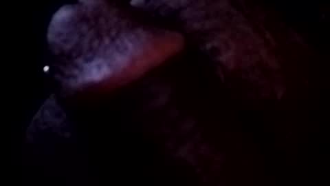 Snapshot of bcfalcon69 chatting on 3, 5, 2026 bcfalcon69 online show from 3, 5, 2026