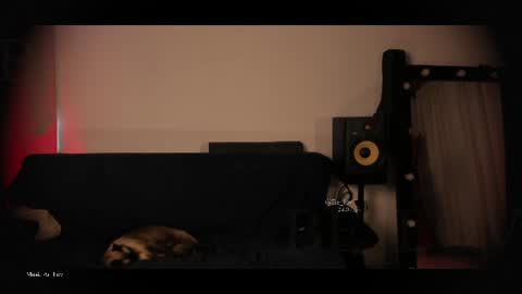 Call me Bells  Next Stream on Wednesday    Feb 26  online show from 24, 7, 2026