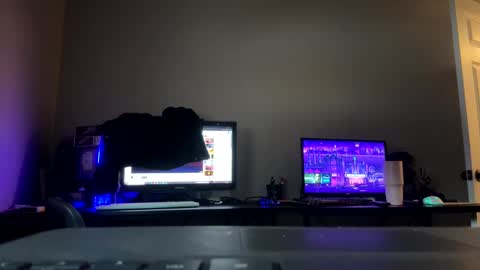 beaniebaby2 online show from 21, 1, 2025