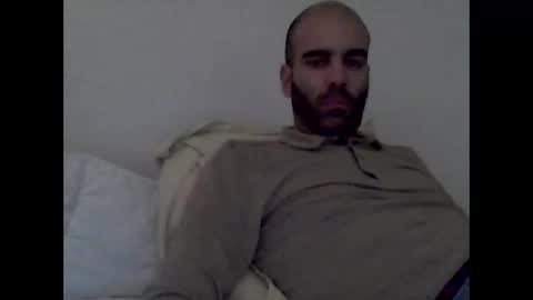 bear14250949 online show from 17, 11, 2025