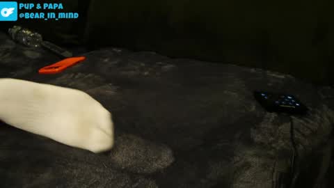 BareBear online show from 22, 4, 2026