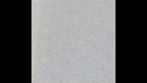 Bearvixen online show from 9, 1, 2026