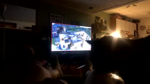 beast250420 online show from 21, 3, 2026