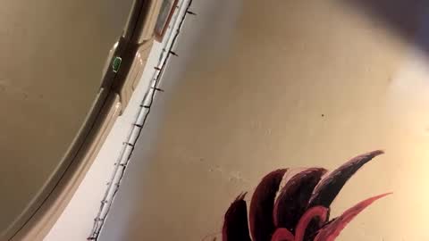 Mikes room online show from 2, 4, 2026