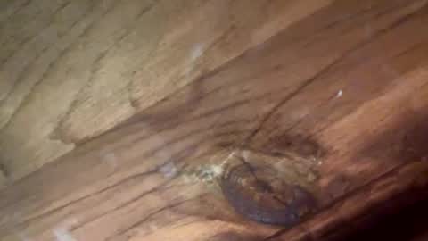 beautifukk online show from 14, 1, 2026