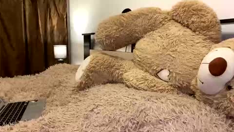 Snapshot of beautifulnik chatting on 7, 3, 2026 Nik online show from 7, 3, 2026