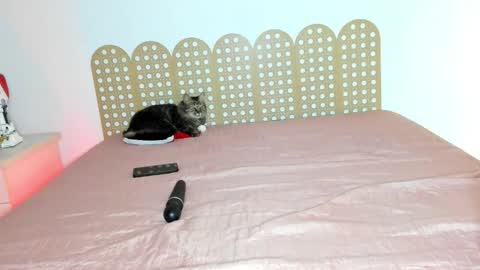 Beautyraf online show from 18, 12, 2025