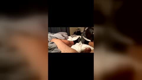 beaverwatcher online show from 12, 4, 2026