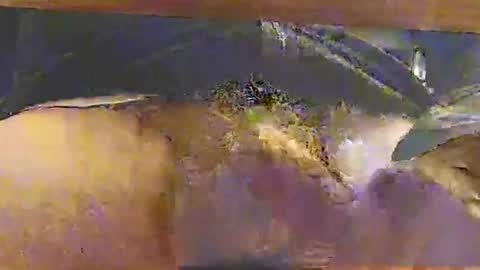 bebbi78022 online show from 26, 10, 2025