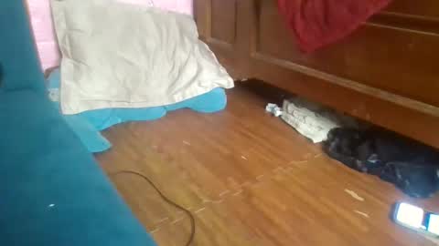 beebaby_xx online show from 16, 11, 2025