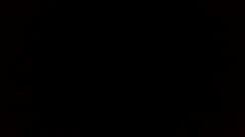 beef_sperm online show from 29, 11, 2025