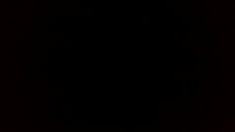 beef_sperm online show from 14, 2, 2026