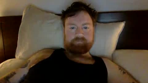 Snapshot of beewolf25 chatting on 30, 12, 2024 Beewolf online show from 30, 12, 2024