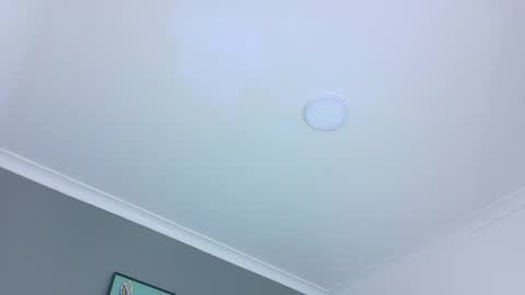 BELA online show from 28, 10, 2025