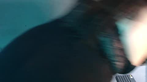 Belen online show from 31, 3, 2026