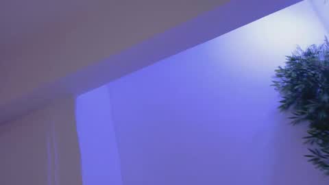 Bella online show from 19, 2, 2026