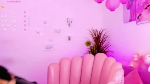 Bella online show from 29, 11, 2025