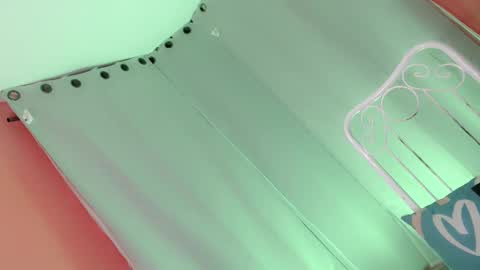 Bella rowt online show from 25, 1, 2025