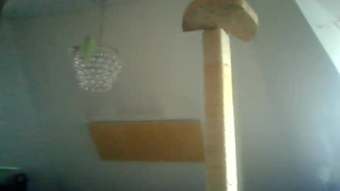 benizio online show from 15, 1, 2025