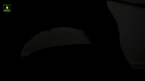 Benny online show from 15, 7, 2026