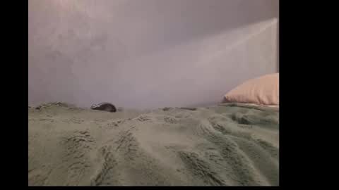 beobenshauna online show from 19, 12, 2024