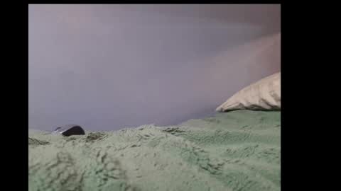 beobenshauna online show from 21, 1, 2025