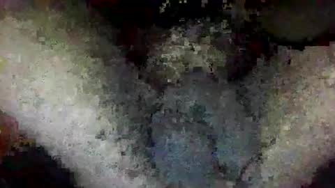 ToxicPipe757 online show from 14, 1, 2026